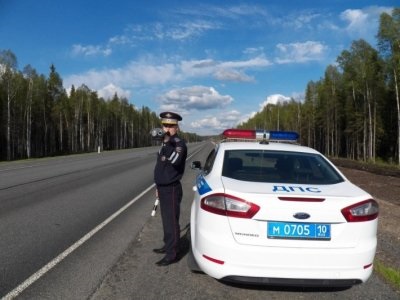 Pui gonflabil, cu o coafura cu trambul, amplasata in fata casei albe