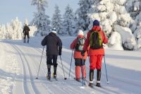 Pe pista de schi! Ce este util pentru sporturile de iarnă, sănătatea copiilor, sănătatea, argumentele și faptele