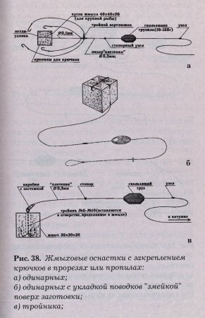 Насадки для літнього лову коропа - портал про рибалку