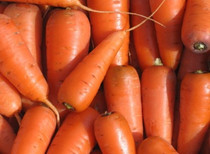 На скільки небезпечно і корисно - чи давати кроликам морквину