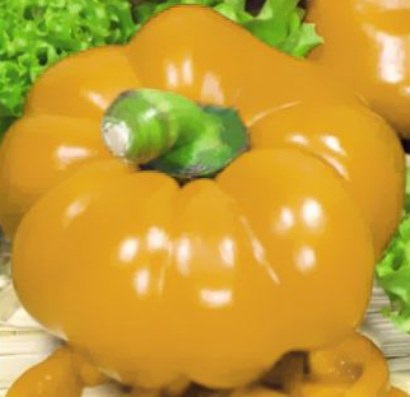 Назва, опис та фото кращих сортів товстостінних перців