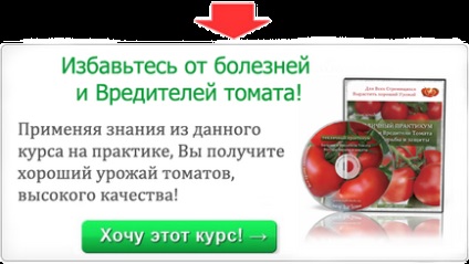 Недолік магнію - тепличний практикум, вирощування огірків і томатів у теплиці