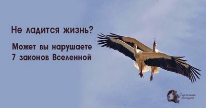 Чи не ладиться життя можливо, ви порушуєте 7 законів всесвіту - щаслива жінка