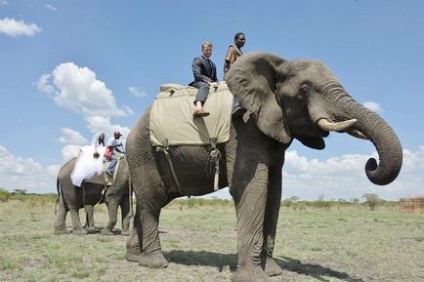 O nuntă neobișnuită în Zimbabwe, în stilul safari africane, apărător curajos