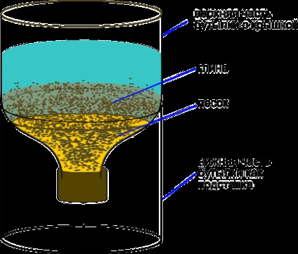 Câteva experimente simple pe botanică