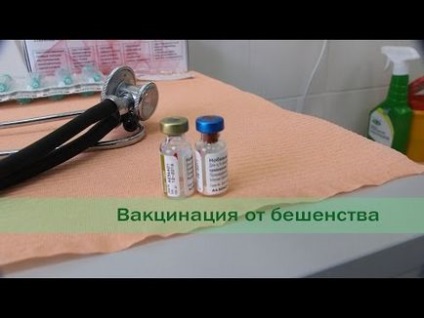Rabies Nobivak pentru pisici instrucțiuni privind modul de utilizare a vaccinului