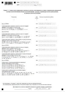 Forma nouă de declarație pe baza instrucțiunii (actual) - completare, exemple gata, formular pentru