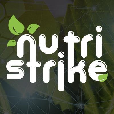 Nutri strike відгуки покупців і реальний огляд коктейлю