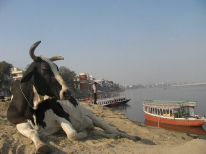 Vama și tradițiile din India