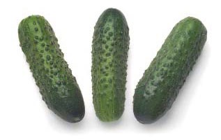 Огірок корнішон - насіння - Насіння овочів - ручні сівалки - овочеві сівалки ручні точного висіву -