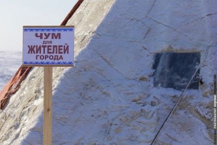 Cerbul care rulează pe Yamal, mai proaspăt - cel mai bun Runet pentru zi!