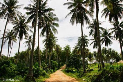 Insula Racha - excursie de la Phuket, plaje, hoteluri, hartă, infrastructură, fotografie, ghid pentru