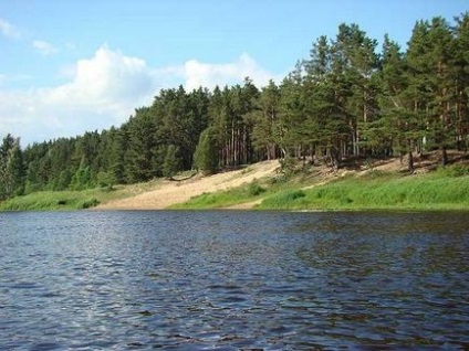 Відкритий берег »пропонує поправки в новий федеральний закон, відкритий берег