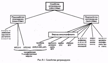 Відносини суспільства до людей, зараженим вірусом імунодефіциту людини (ВІЛ) - курсова робота,