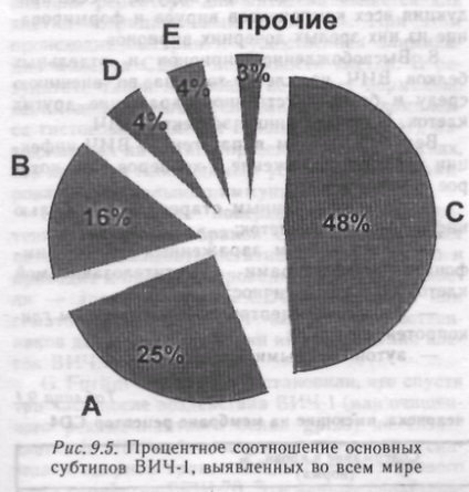 Відносини суспільства до людей, зараженим вірусом імунодефіциту людини (ВІЛ) - курсова робота,