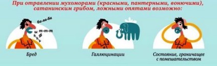 Отруєння мухомором як надати допомогу