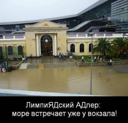 Відставка Олександра Ткачова підтверджена - зворотна сторона сочи