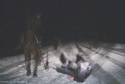 Vadászok lovon verték majdnem futott át őket közel Tula driver, csatorna 360