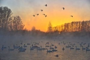 Озеро чани положення на карті нашої Батьківщини, відпочинок і туризм