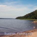 Lacul Chizhkovo din satul Afanasyevo