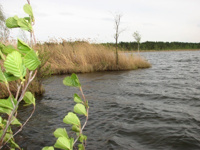 Озеро крячків - подорож по баришскім лісах - рибалка в Ульяновську