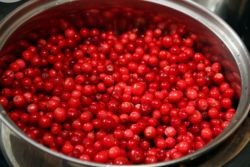 Conserve de lingonberry în cuptor