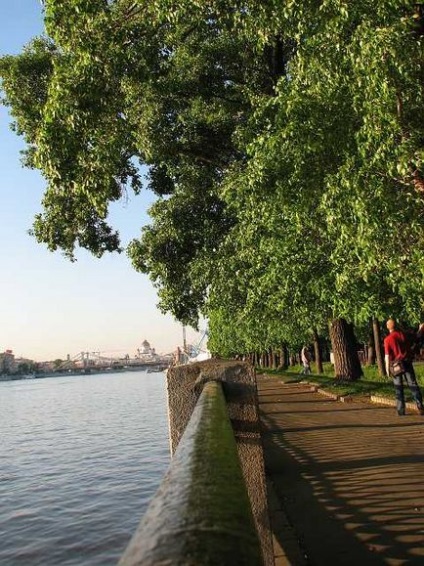 Parcul amar - tspkio - parcul central al culturii și odihnei