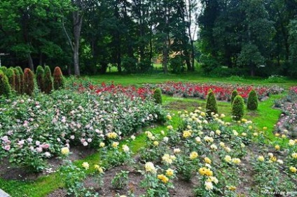 Parcul Kadriorg, Tallinn