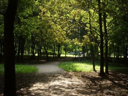 Parcul Victoriei pe Muntele de Cult