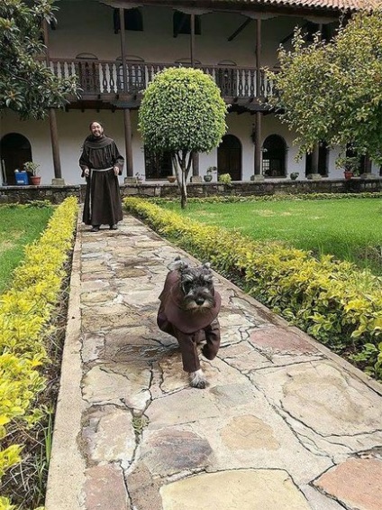 Primul câine călugăr, care locuiește într-o mănăstire și se bucură de noua sa viață luminată,