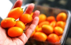 Поживний склад кумквата, корисні властивості - золотого апельсина