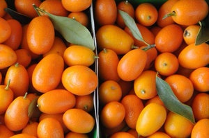 Поживний склад кумквата, корисні властивості - золотого апельсина