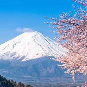 Berărie Sake kosaka Sudzo-jo, Gudjo Hachiman, Ghid pentru Japonia - hoppers japoneză