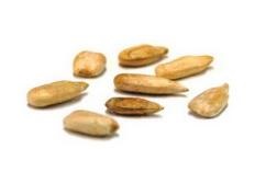 De ce oamenii mănâncă semințe