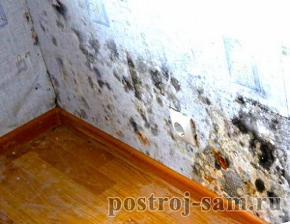 Miért izzad és mokreyut falak a házban, és hogyan kell megjavítani
