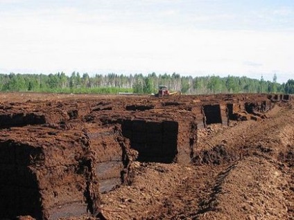 Грунт в теплиці, підготовка до мульчування, як своїми руками правильно підготувати кислий грунт