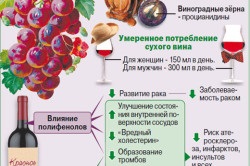 Proprietăți utile ale vinului roșu pentru femei și bărbați, daune cauzate de utilizarea excesivă (video)