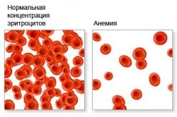 Корисні властивості червоного вина для жінок і чоловіків, шкода непомірного вживання (відео)