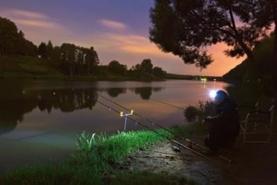 Plute pentru pescuitul de noapte cu un LED și un foc de artificii