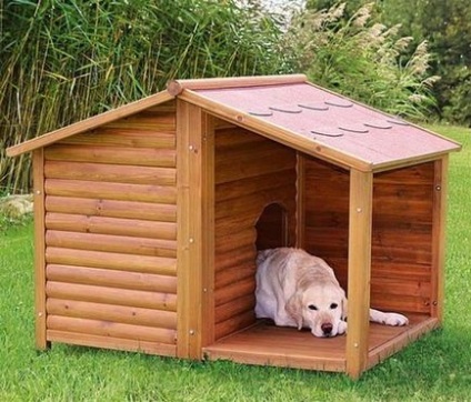 Construirea unei incinte pentru câini în curtea unei case private - antreprenor privat de ziare