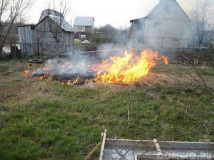 Siguranța la foc în grădină