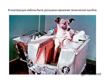 Előadás a témában kutya az űrben