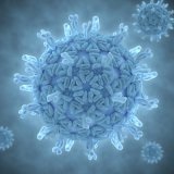 Cauza infecției cu rotavirus diaree este doctorul dumneavoastră aibolit