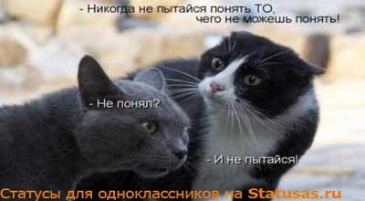 Прикольні статуси для однокласників, які багатьом піднімуть настрій