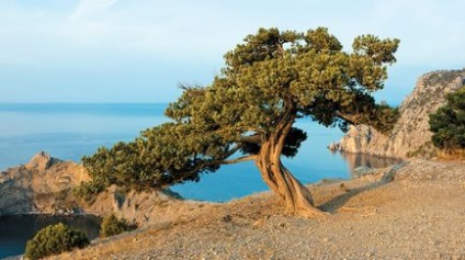 Caracteristici naturale ale Crimeei