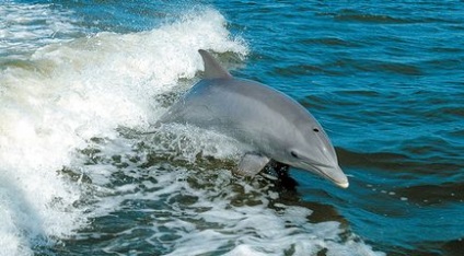 Caracteristici naturale ale Crimeei