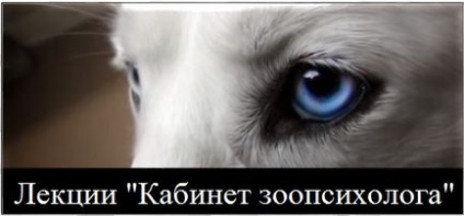 Проблеми з лошам (добірка запитань і відповідей), школа прикладної етології