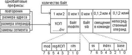 Програмна модель процесора ia-32