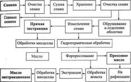 Виробництво соняшникової олії як бізнес яке купити обладнання для відкриття міні заводу,