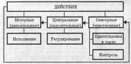 Психіка як субстанція і психіка як субстрат - введення в психологію